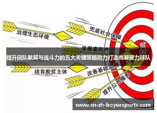提升团队默契与战斗力的五大关键策略助力打造高凝聚力球队