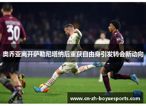 奥乔亚离开萨勒尼塔纳后重获自由身引发转会新动向