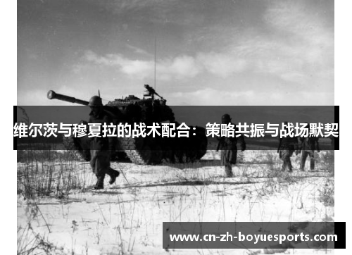 维尔茨与穆夏拉的战术配合：策略共振与战场默契