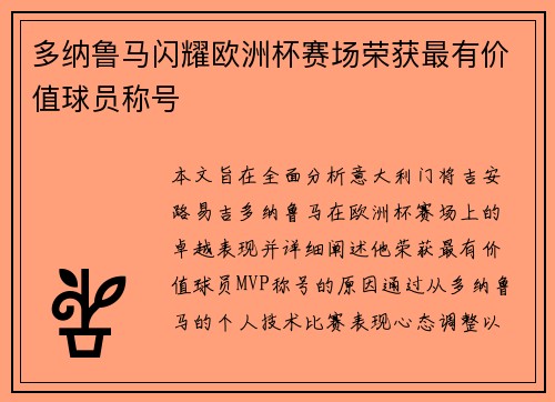 多纳鲁马闪耀欧洲杯赛场荣获最有价值球员称号